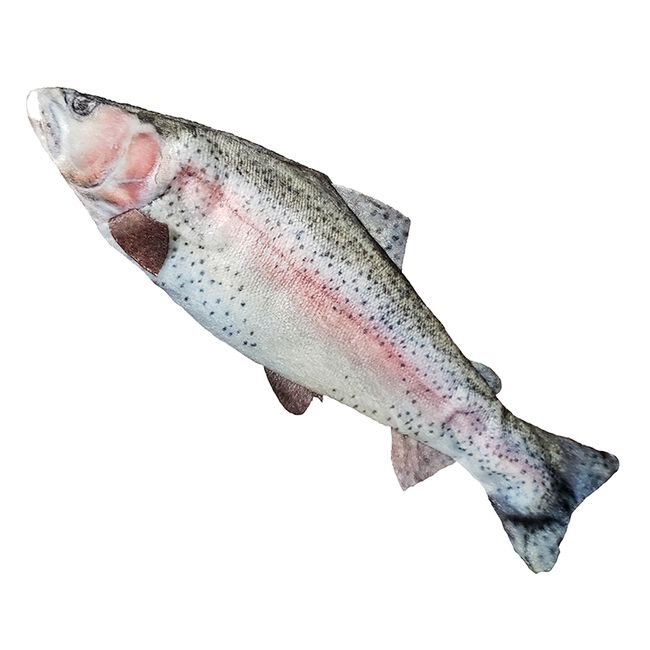 Steel Dog Freshwater Fish - Rainbow Trout w/ Rope image number null