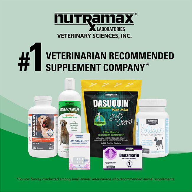Nutramax Laboratories Welactin Omega-3 Fish Oil Skin and Coat Health Supplement Liquid for Dogs - 120 Softgels image number null