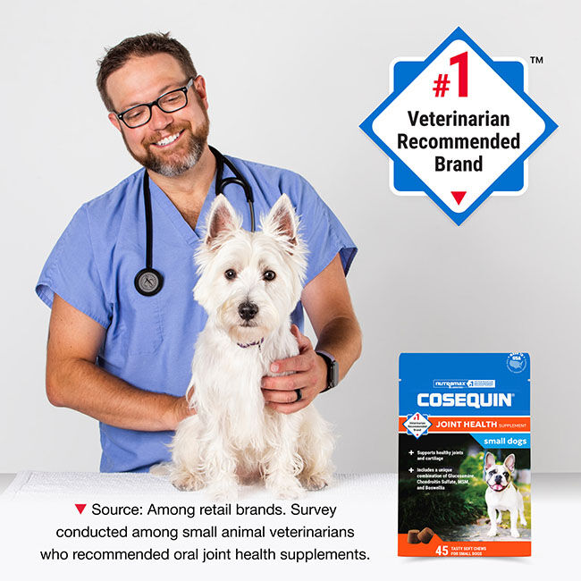 Nutramax Laboratories Cosequin Minis Plus MSM & Boswellia for Small Dogs - 45 Chews image number null