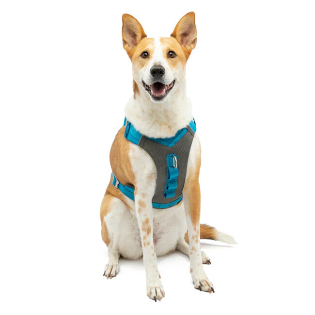 Kurgo Journey Air Dog Harness - Blue image number null
