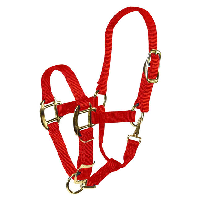 Hamilton 3/4" Adjustable Chin Halter With Snap - Pony Red image number null
