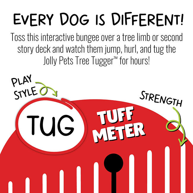 Jolly Pets Tree Tugger Dog Toy image number null