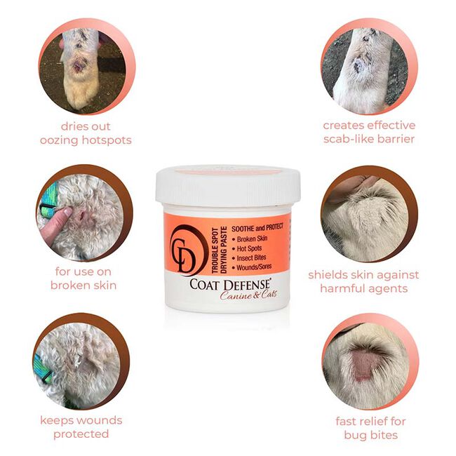 Coat Defense Trouble Spot Drying Paste for Dogs & Cats image number null