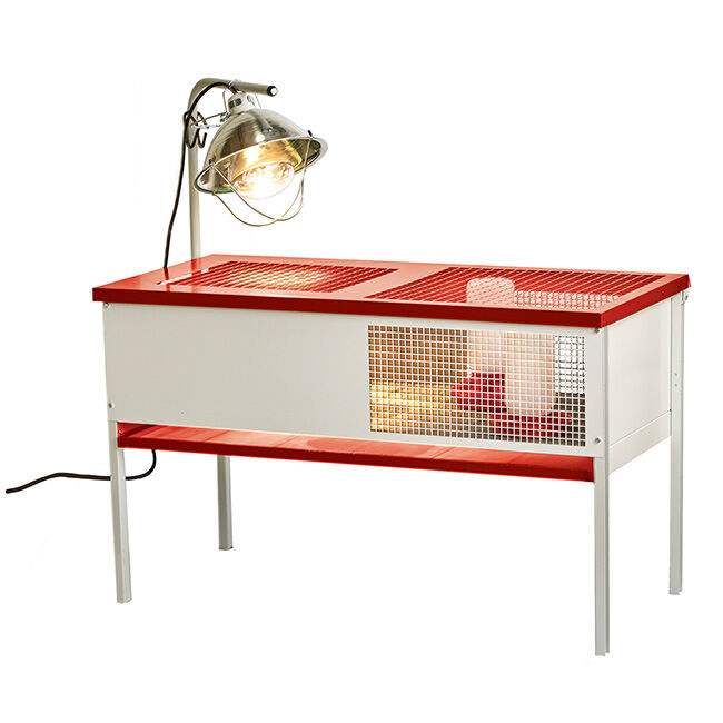 Little Giant Chick Brooder image number null