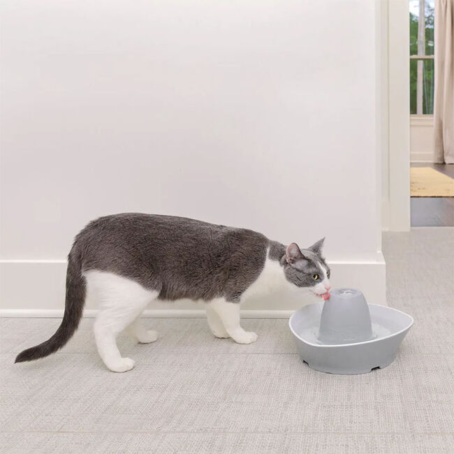 PetSafe Creekside Ceramic Pet Fountain The Cheshire Horse