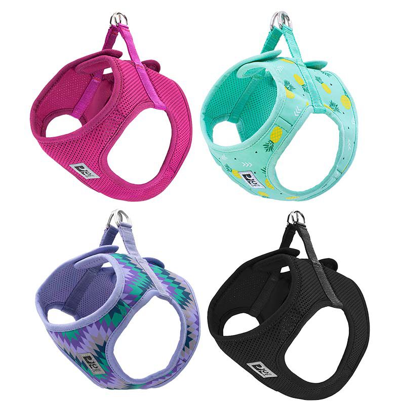 Step in cirque harness discount