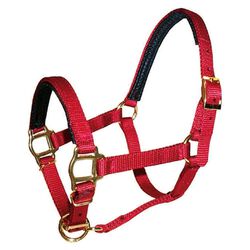Triple E Mini Premium Nylon PVC Padded Halter