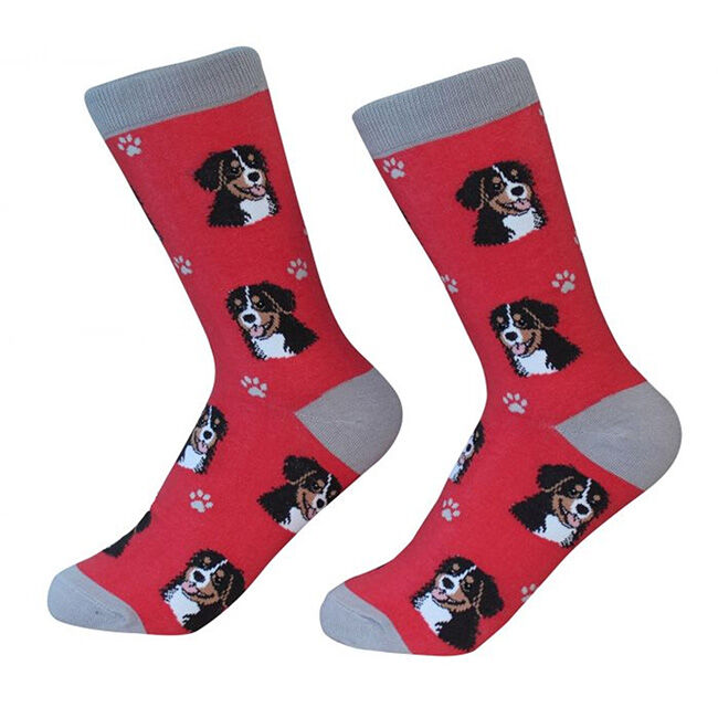 E&S Pets Unisex Novelty Crew Socks - Bernese Mountain Dog image number null