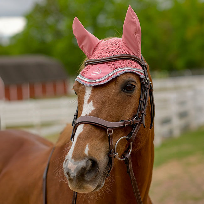 Lettia Shadow Ear Net image number null