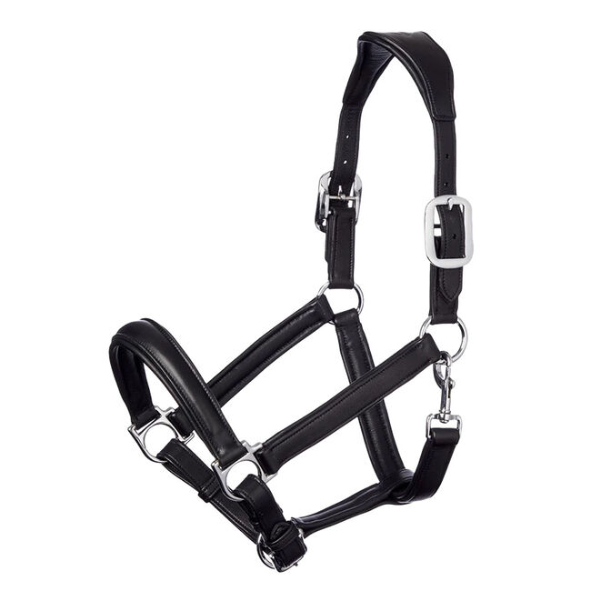 LeMieux Anatomic Leather Halter - Black image number null