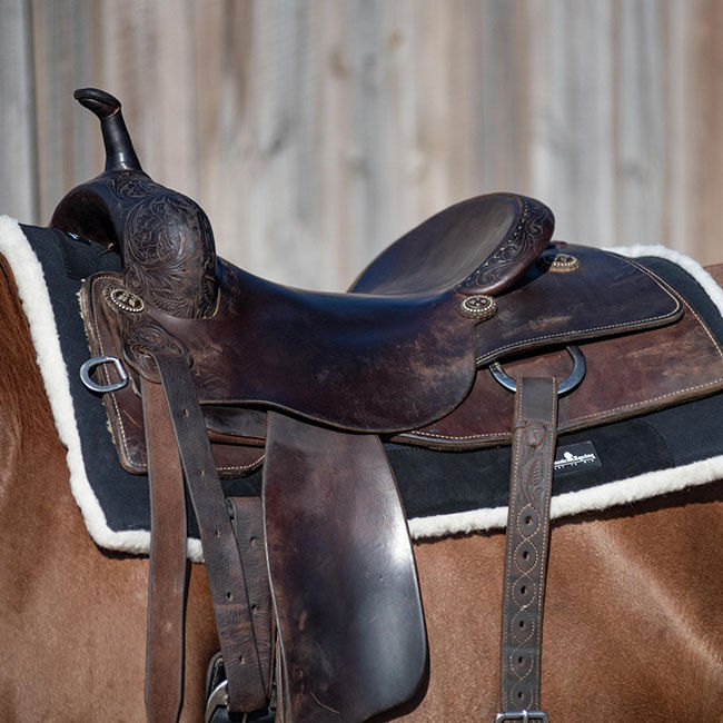 Classic Equine Performance Trainer Saddle Pad image number null