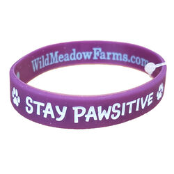 Wild Meadow Farms Fur Baby Bands "Stay Pawsitive" Purple