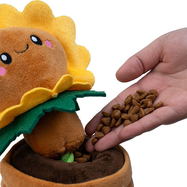 Territory Treat-and-Tug Dog Toy - Sunflower image number null