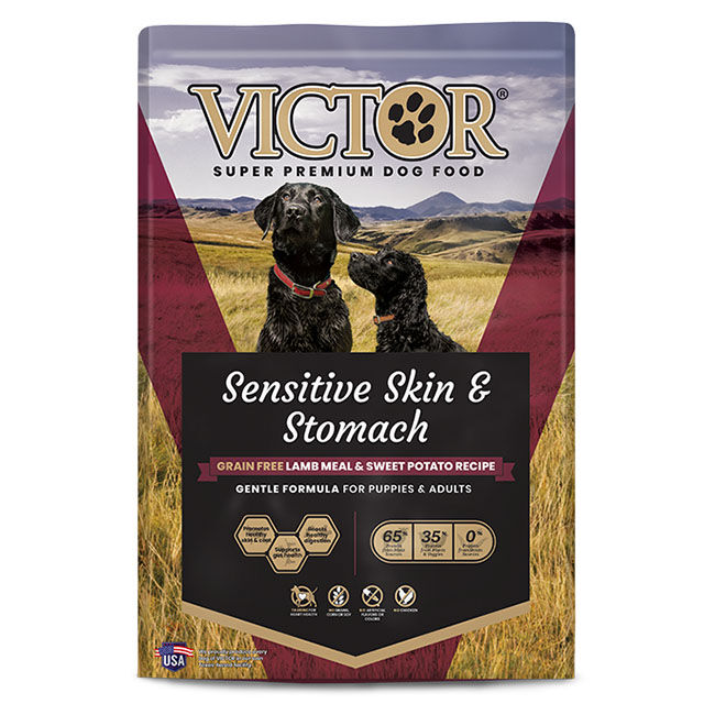Victor Sensitive Skin & Stomach Grain-Free Dog Food - Lamb Meal & Sweet Potato Recipe image number null