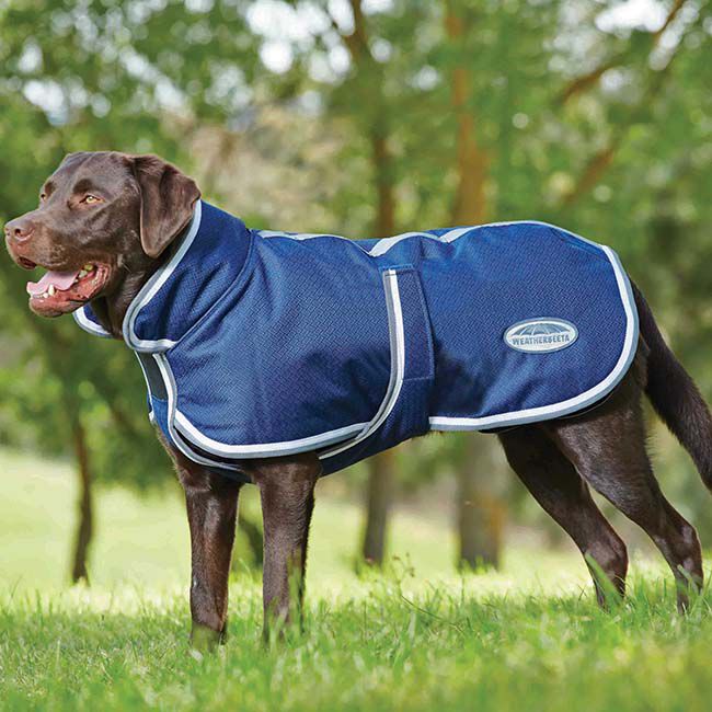 WeatherBeeta ComFiTec Parka 1200D Deluxe Dog Coat - Navy/Grey/White - Closeout image number null