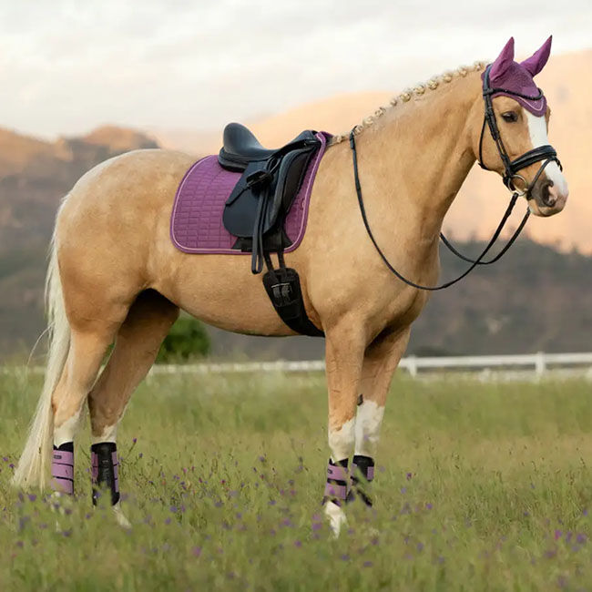 LeMieux Suede Dressage Pad - Mallow image number null