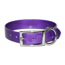 OmniPet SunGlo Collar with D-Ring - Purple