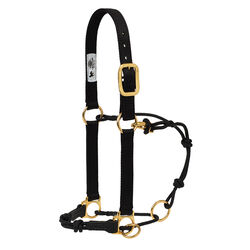 Weaver Equine Horseman's Halter with Side Ring