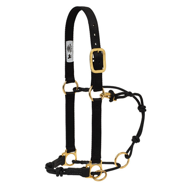 Weaver Equine Horseman's Halter with Side Ring image number null
