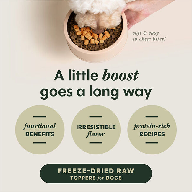 Instinct Freeze-Dried Raw Boost Mixers for Dogs - Gut Health Recipe image number null