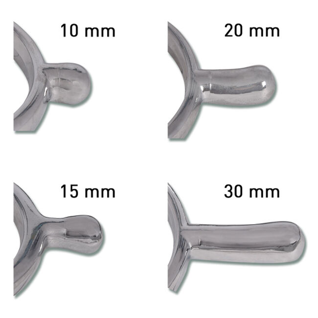 Waldhausen Crystal Spur Set image number null