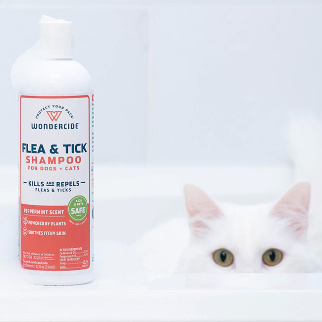 Wondercide Flea & Tick Shampoo for Dogs & Cats with Natural Essential Oils - 12 oz image number null