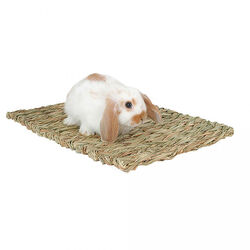 Marshall Woven Grass Mat for Small Animals