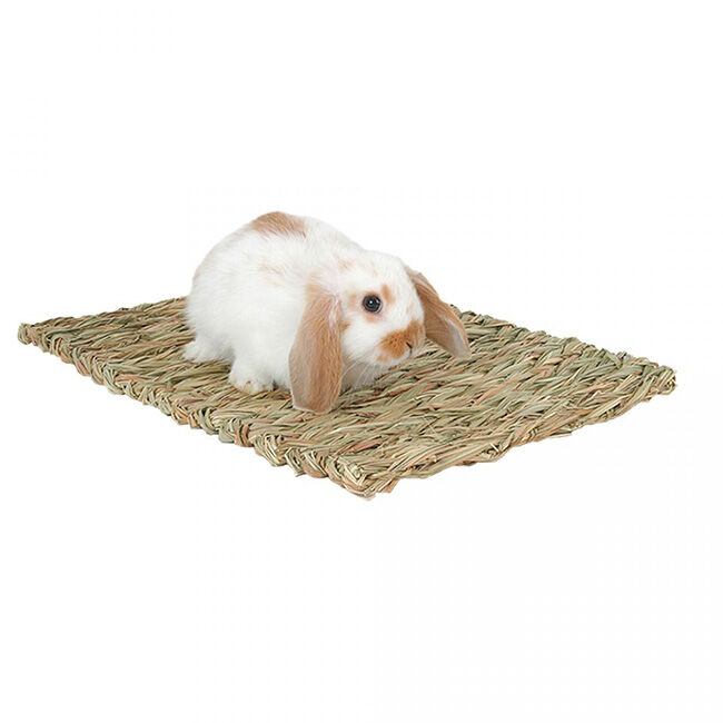 Marshall Woven Grass Mat for Small Animals image number null