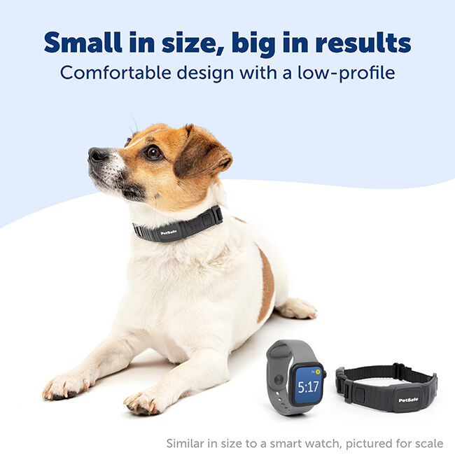 PetSafe NanoBark Collar for Small Dogs image number null