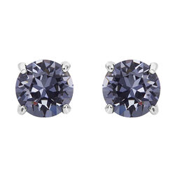 Montana Silversmiths Gleaming Twilight Earrings