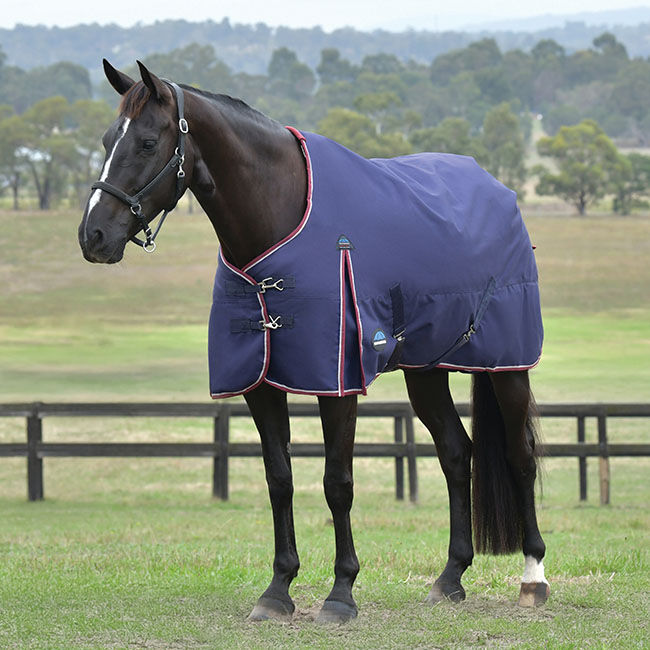 WeatherBeeta ComFiTec Essential Turnout with Standard Neck (100g Fill) - Navy/Burgundy image number null