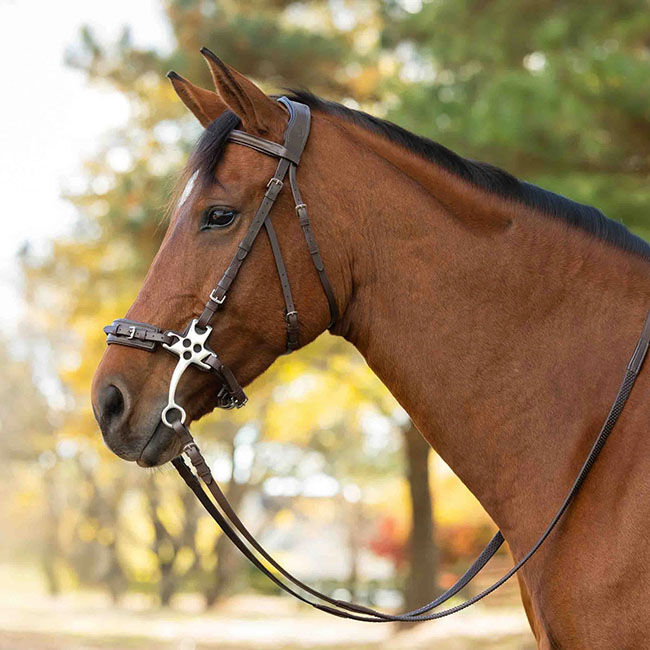 Equinavia Saga Hackamore Bridle with Rubber Reins - Chocolate Brown image number null