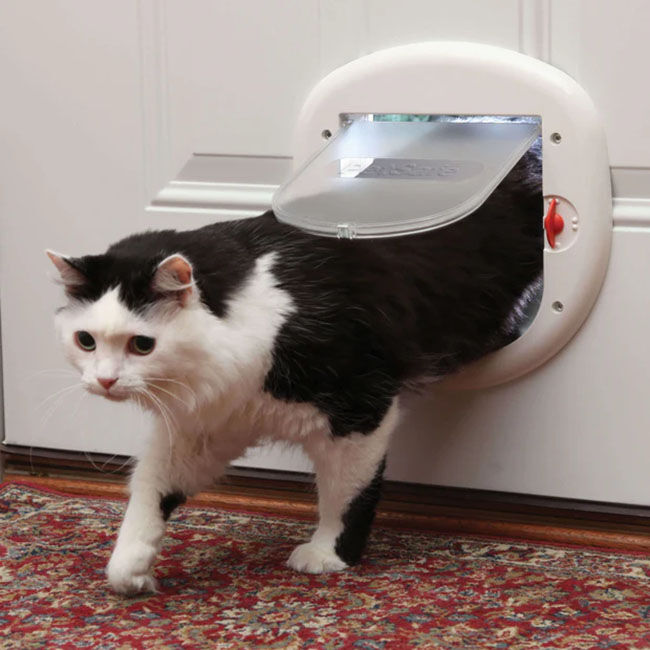 PetSafe 4 Way Locking Big Cat Door The Cheshire Horse
