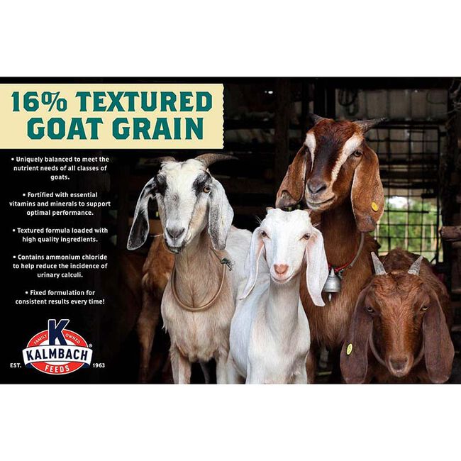 Kalmbach Feeds 16% Textured Goat Grain - 50 lb image number null