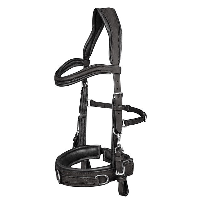 Waldhausen Anatomic Cavesson image number null