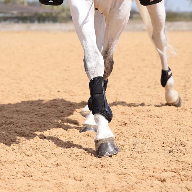 Shires ARMA OXI-ZONE Brushing Boots image number null