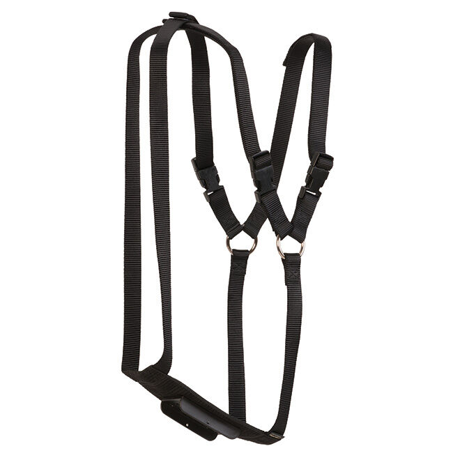 Weaver Livestock Nylon Ram Marking Harness image number null