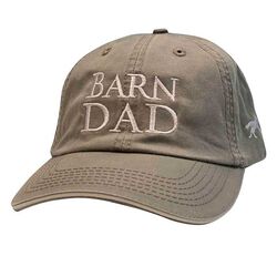 Stirrups Clothing Barn Dad Cap - Driftwood