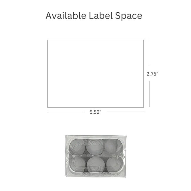 EggCartons.com Goose 6-Egg Plastic Carton image number null