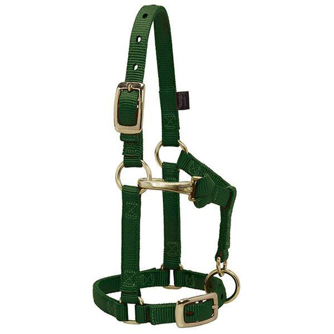Weaver Mini Horse Adjustable Chin & Throat Snap Halter image number null