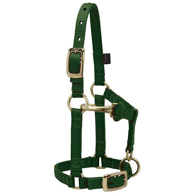 Weaver Equine Mini Horse Adjustable Chin & Throat Snap Halter image number null