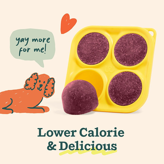 Woof Pupsicle Treat Mix - Berry Crush Mix - Strawberry & Carob Recipe - 5.5 oz image number null