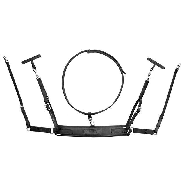 Correct Connect 3-in-1 Training Breastplate image number null