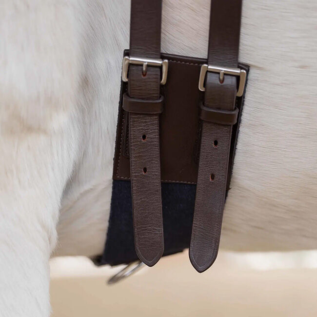 Equinavia Saga Lunge Surcingle - Chocolate Brown/Navy image number null