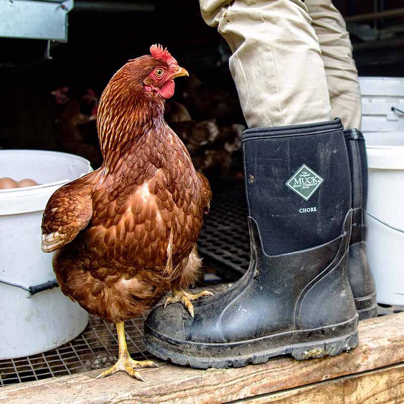 Muck boot chore boot store