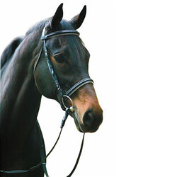 Henri de Rivel Dressage Bridle with Web Reins