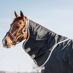Horseware Amigo Stock Horse Turnout Neck Cover (0g Lite)