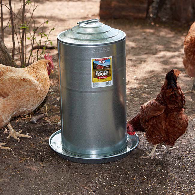Little Giant Double Wall Metal Poultry Waterer - 8-Gallon Capacity image number null