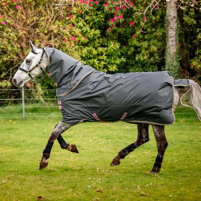 Horseware Amigo Hero Ripstop Plus Turnout (0g Light) - Shadow/Rose & Navy - Closeout image number null