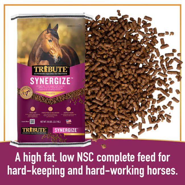 Tribute Synergize - Low NSC, High Fat Pellets - 50 lb image number null